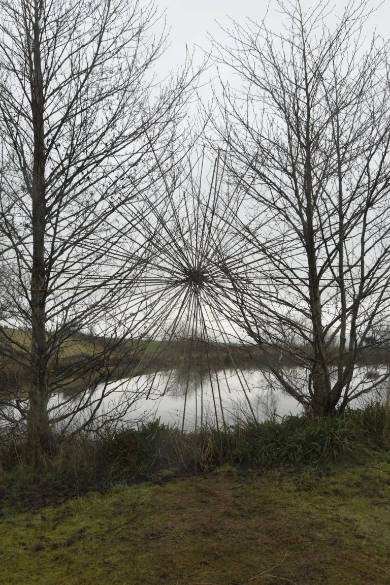 Andy Goldsworthy - Fireweed Stalks