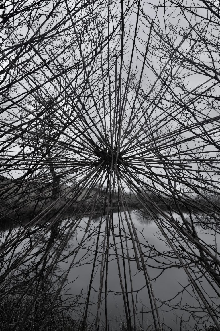 Andy Goldsworthy - Fireweed Stalks