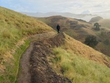 Andy Goldsworthy – Contour 436