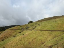Andy Goldsworthy – Contour 436