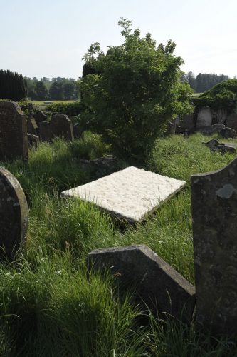 Andy Goldsworthy – Wool cast off by sheep