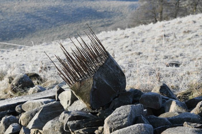 Andy-Goldsworthy_Thorn-Stone