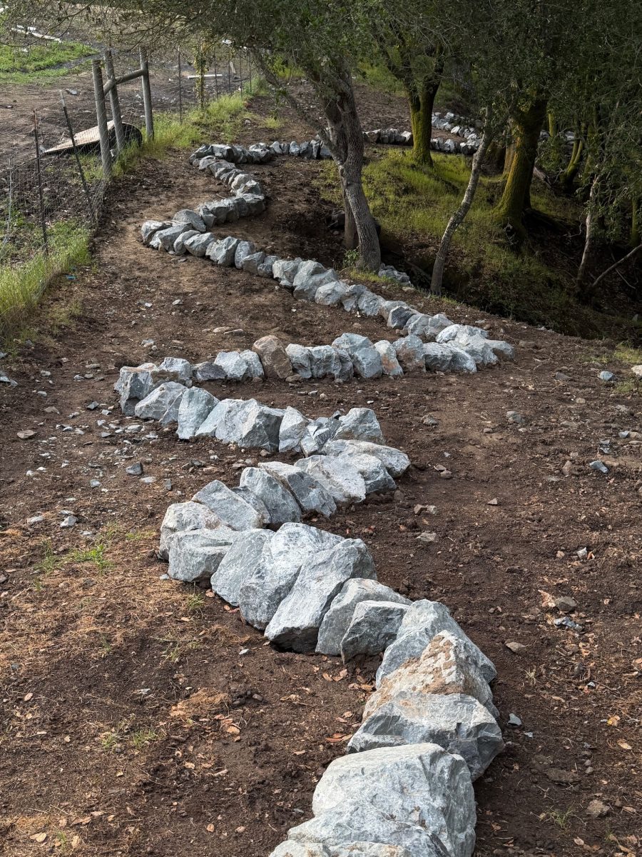 Andy Goldsworthy – 1448 Stones