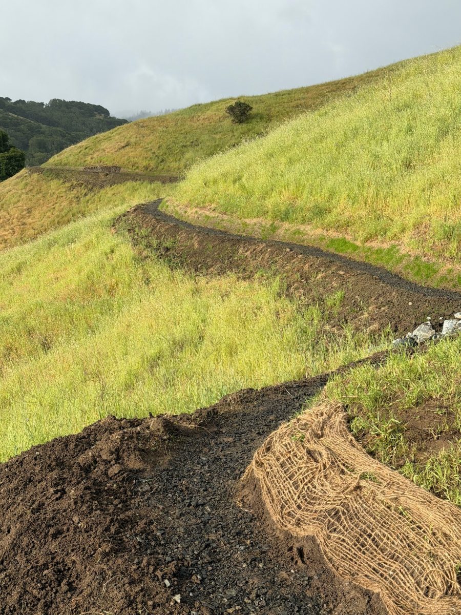 Andy Goldsworthy – Contour 436
