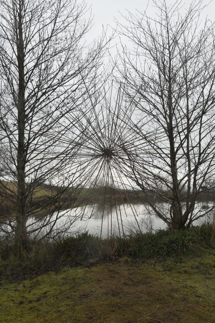 Andy Goldsworthy - Fireweed Stalks