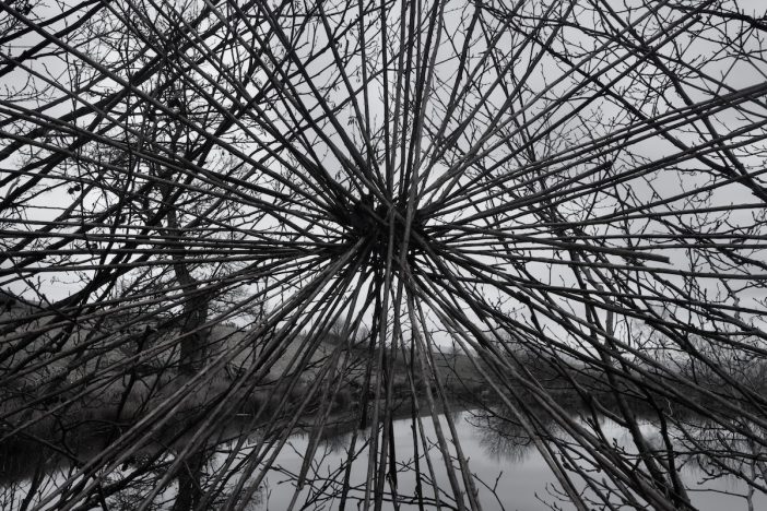 Andy Goldsworthy - Fireweed Stalks