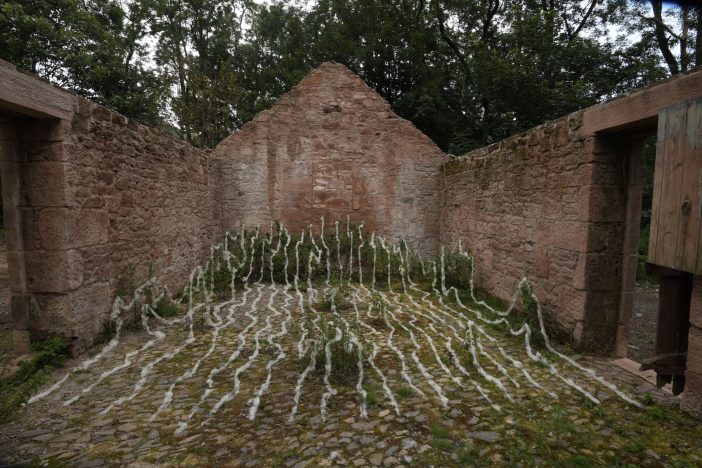 AndyGoldsworthy_Fleece2_7378