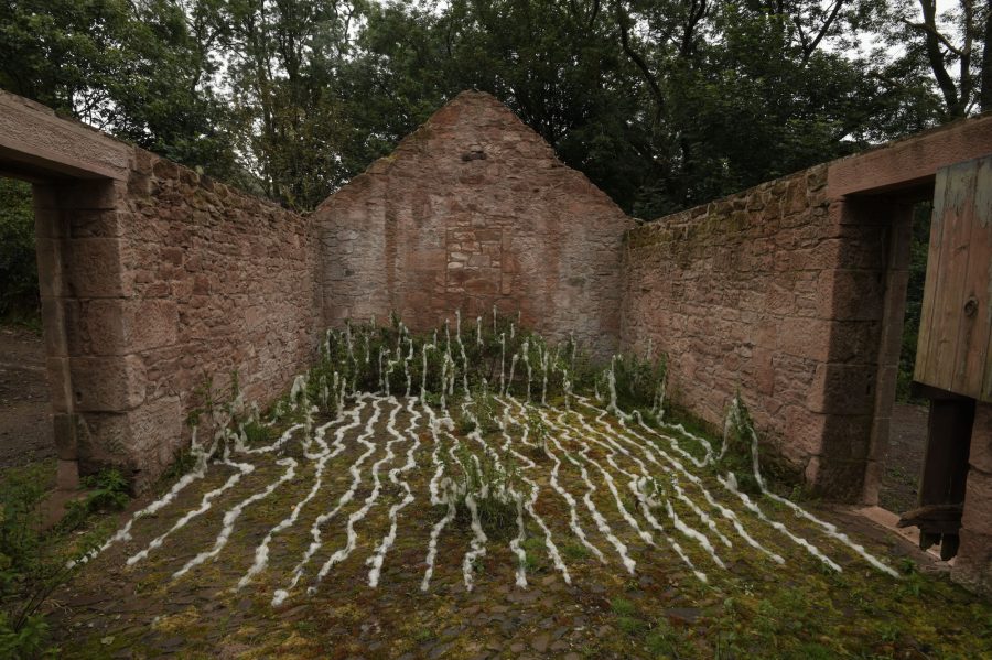 AndyGoldsworthy_Fleece2_7412