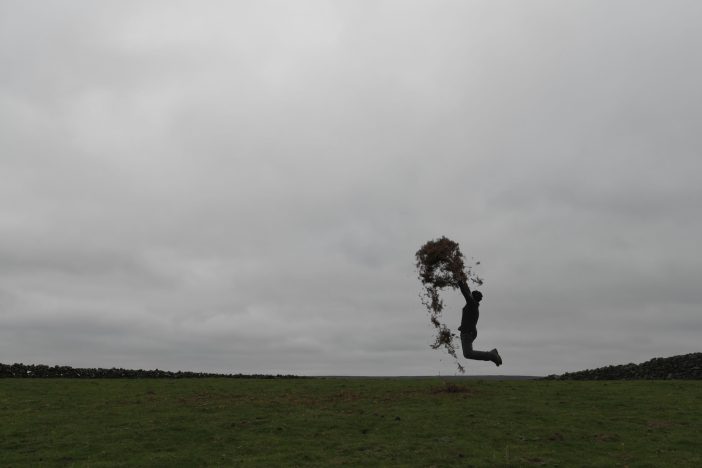 Andy Goldsworthy - For Andrew McKinna