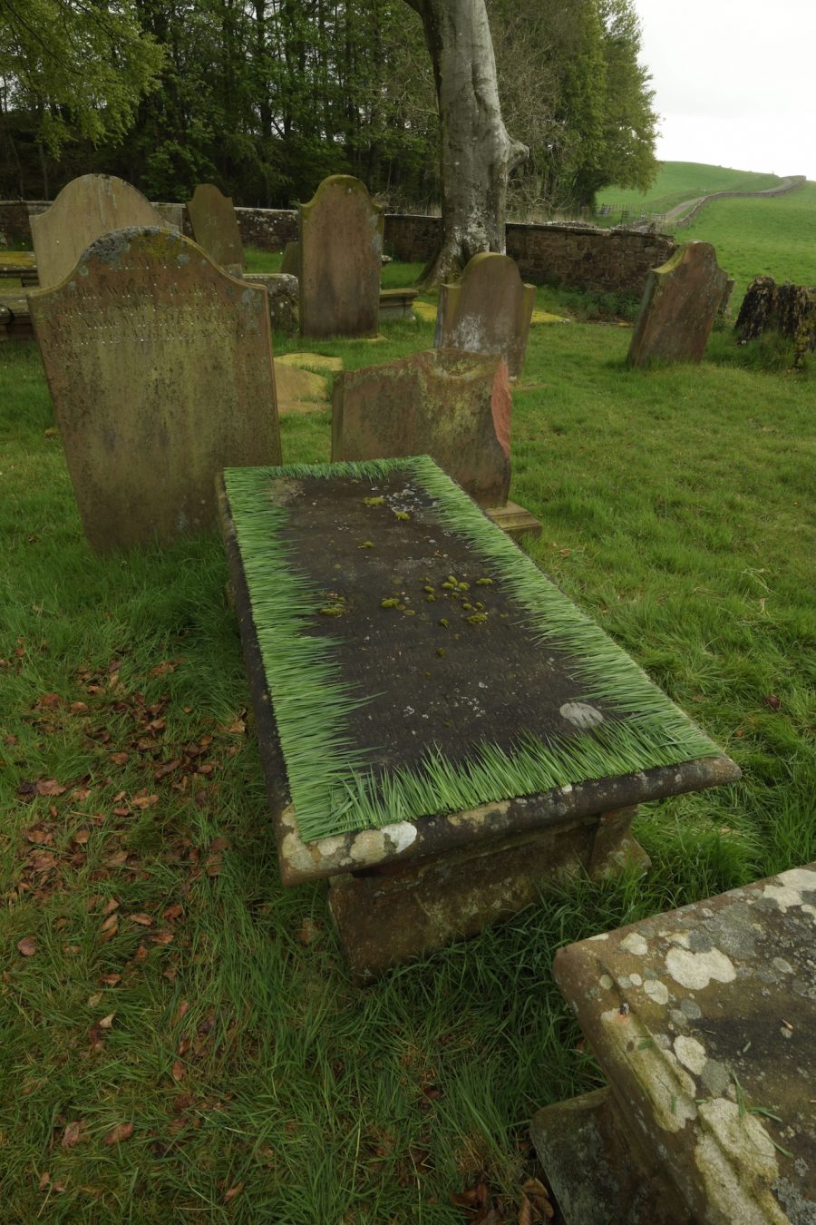 Andy Goldsworthy - Grass Laid on a Gravestone