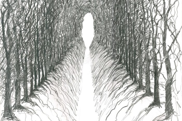 Andy Goldsworthy - Hedge Walk