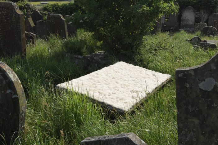 Andy Goldsworthy – Wool cast off by sheep